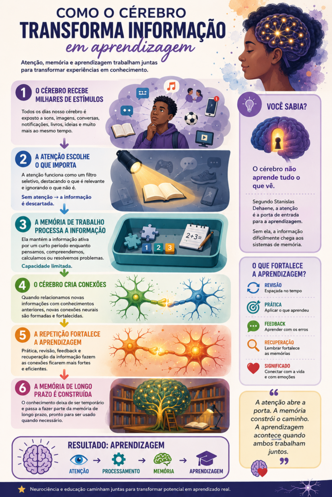 Infográfico Como o cérebro transforma informação em aprendizagem 